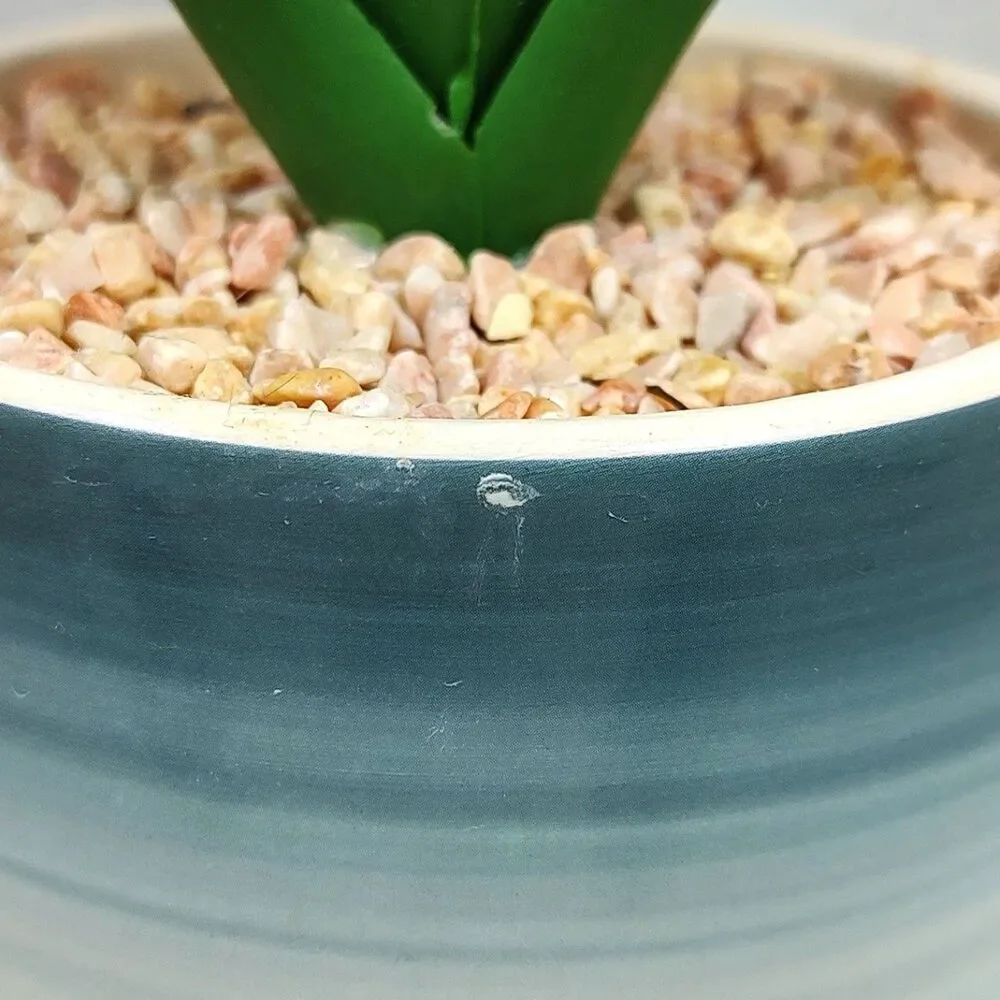 Artificial Succulent Potted Houseplant Cobat Blue White Pink Ceramic Pebbles New
